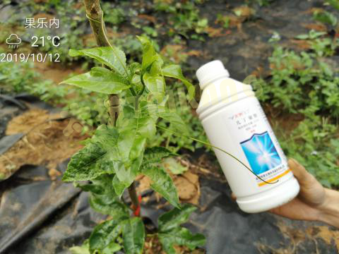 1576542738631507WuGG.png 圖片6_副本.png